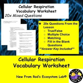 Cellular Respiration Vocabulary Review Answer Key Reader