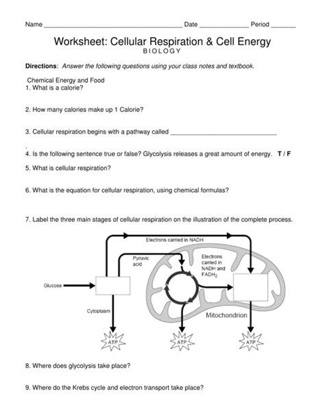 Cellular Respiration Worksheet Answers Kindle Editon