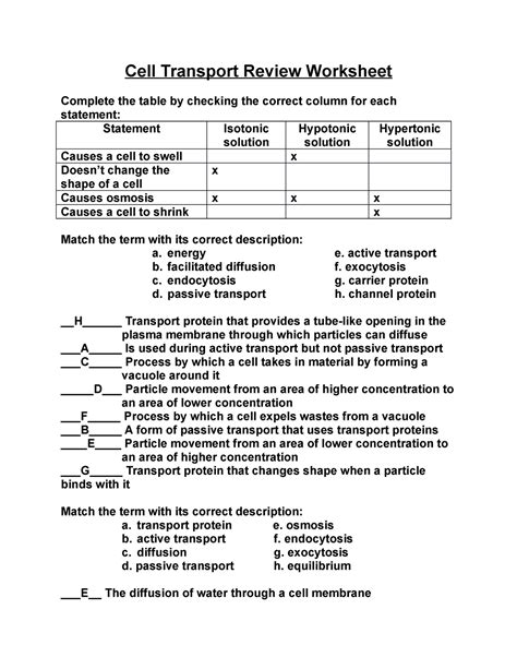 Cellular Transport Review Answer Key Multiple Choice PDF