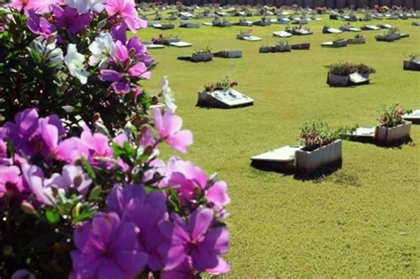 Cemitério Parque das Oliveiras: Um santuário de paz e conforto