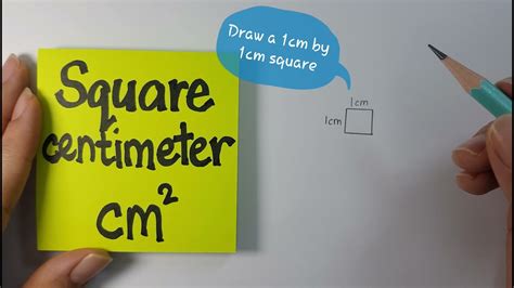 Centimeter squared (cm2)