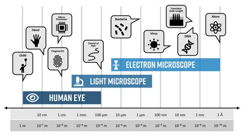 Centimeter to Nanometer: Deciphering the Microscopic World