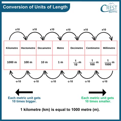 Centimeters and Meters: A Basic Overview