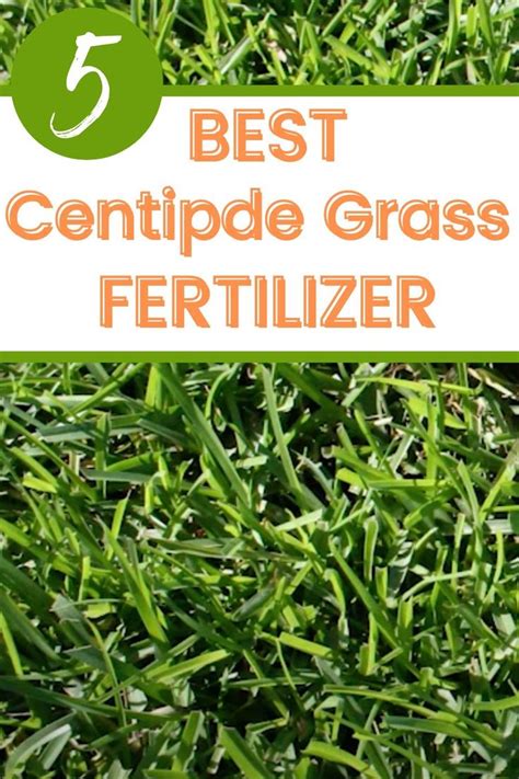 Centipede Fertilizer: The Ultimate Guide to Feeding Your Turf