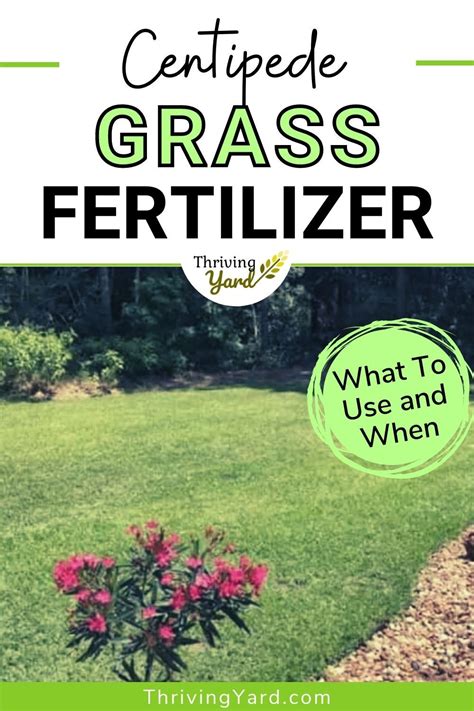 Centipede Grass Fertilizer: 10,000-Character Guide to a Thriving Lawn