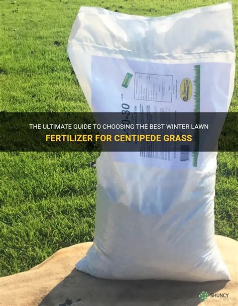 Centipede Lawn Fertilizer: The Ultimate Guide