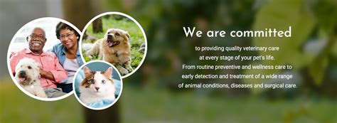Central Providence Vet: Providing Comprehensive Veterinary Care for Your Beloved Companion