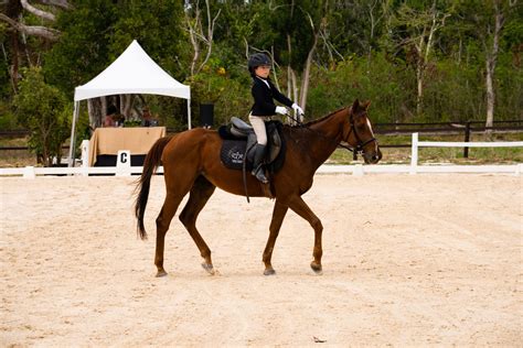 Centro Equestre de Classe Mundial: