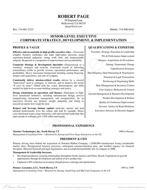 Ceo Resume Template Word