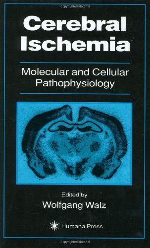 Cerebral Ischemia Molecular and Cellular Pathophysiology 1st Edition PDF