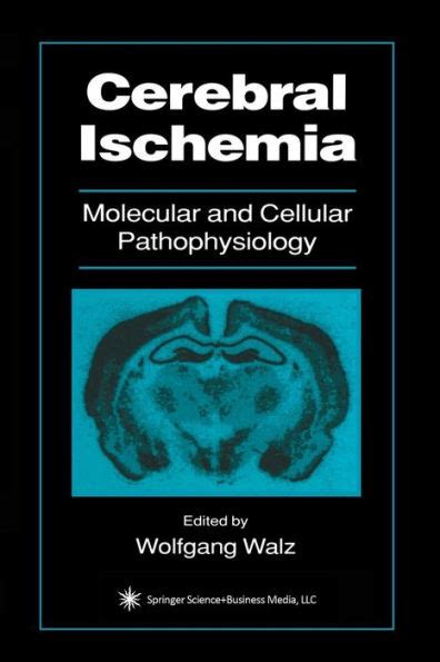 Cerebral Ischemia Molecular and Cellular Pathophysiology 1st Edition PDF