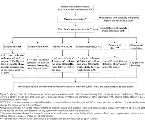 Cerebrovascular Disease in Clinical Practice Doc