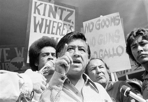 Cesar Chavez Fighting for Farmworkers Reader