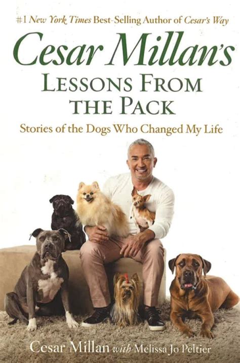 Cesar Millan s Lessons From the Pack Stories of the Dogs Who Changed My Life Doc