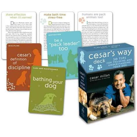 Cesar s Way Deck 50 Tips for Training and Understanding Your Dog PDF