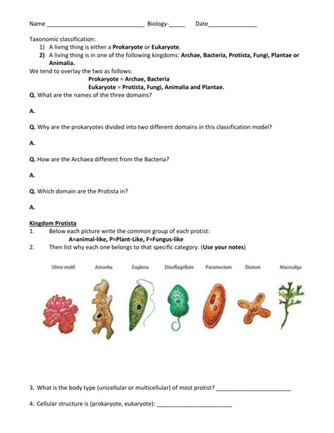 Ch 20 Protists Answer Key Doc