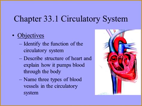 Ch 33 Circulatory And Respiratory Systems Answers Doc