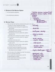 Ch 48 Nervous Systems Study Guide Answers Reader