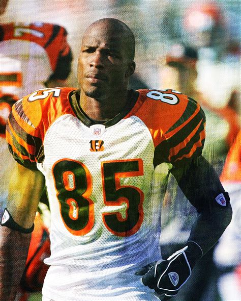 Chad Johnson Career Stats