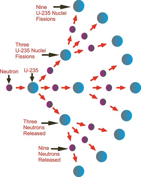 Chain Reaction: Exploring the Interconnected Cycles of Reaction