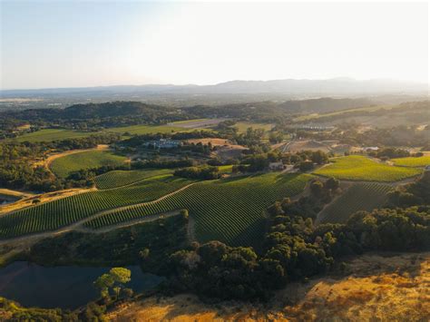 Chalk Hill Estate Vineyards: A Vinous Odyssey in Sonoma's Heart