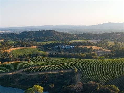 Chalk Hill Estate Vineyards & Winery: A Majestic Vineyard Experience