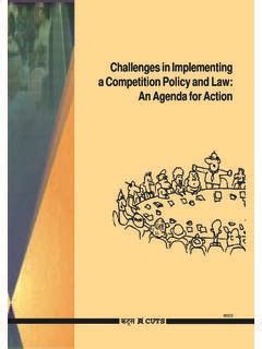 Challenges in Implementing a Competition Policy and Law An Agenda for Action Kindle Editon