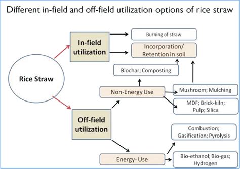 Challenges of Straw Management: