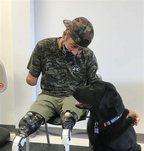 Champ Assistance Dogs: Unlocking Limitless Possibilities for Individuals with Disabilities