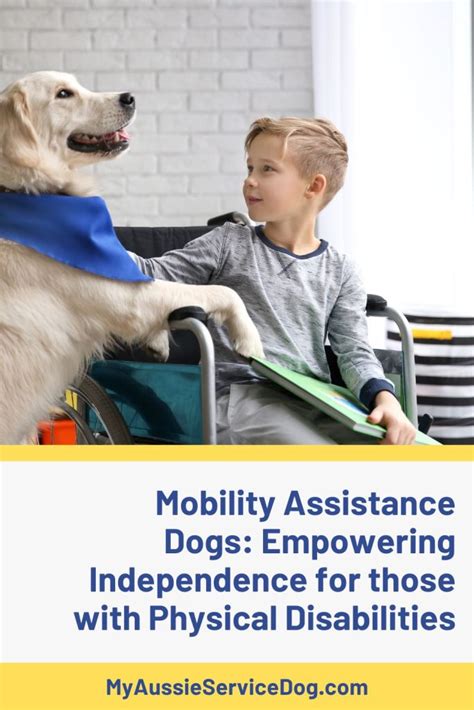 Champ Assistance Dogs Inc.: Empowering Individuals with Disabilities Through Canine Companionship