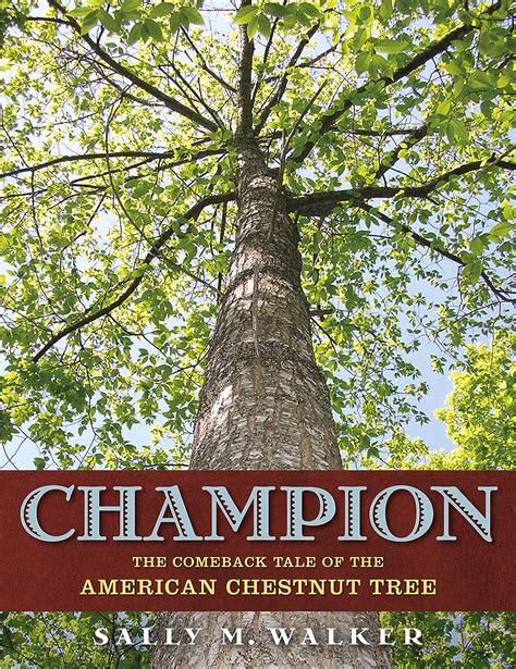 Champion The Comeback Tale of the American Chestnut Tree