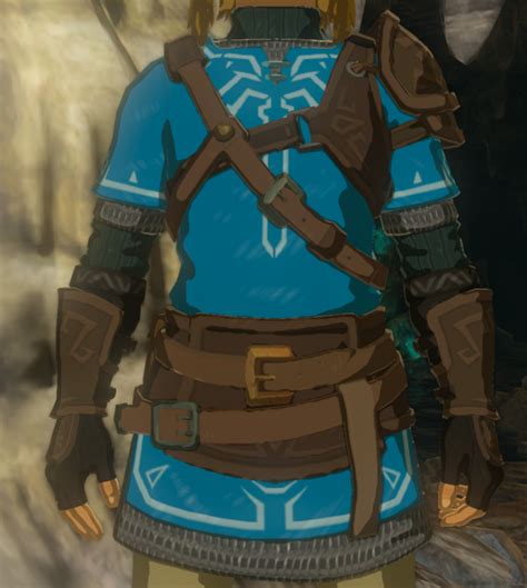 Champion Tunic Link: A Comprehensive Guide to the Legendary Armor of Hyrule