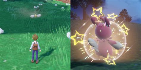 Chances of Getting a Shiny Pokémon: Your Ultimate Guide to the Elusive Sparkle