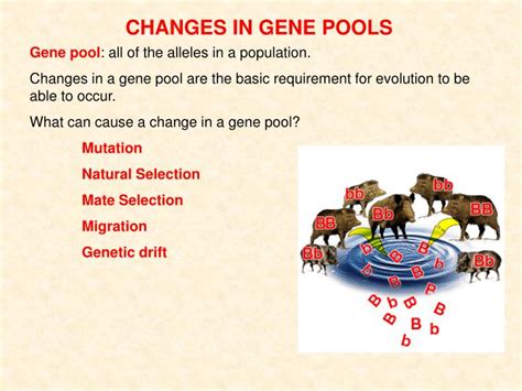 Changes In A Gene Pool Answers PDF