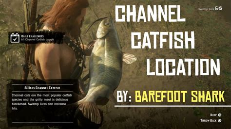 Channel Catfish RDR2: A Comprehensive Guide to Catching the Elusive Beast!