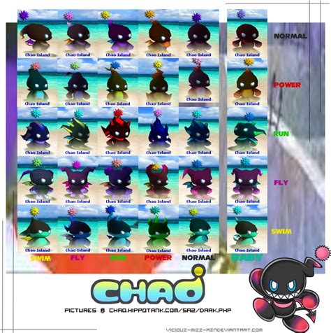 Chao Types