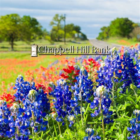 Chappell Hill, TX: A Comprehensive Guide to a Charming Town in the Heart of the Texas Hill Country