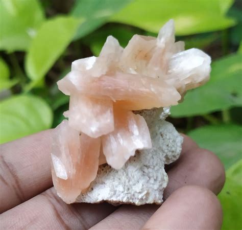 Chapter 1: Discovering the Enchanting Stilbite Crystal