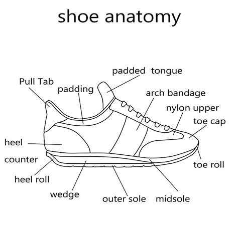 Chapter 1: The Anatomy of Casual Footwear