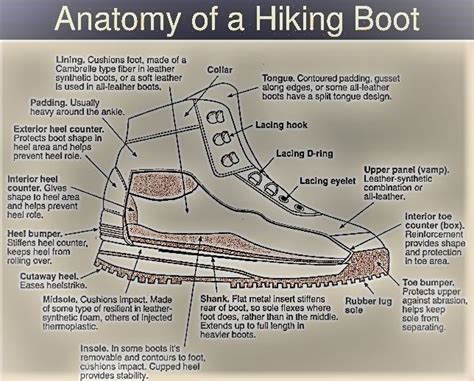 Chapter 1: The Anatomy of Salomon Hiking Boots