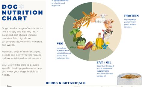 Chapter 1: Understanding the Nutritional Needs of Dogs