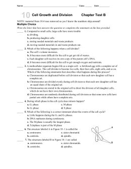 Chapter 10 Cell Growth And Division Test Answer Key Reader