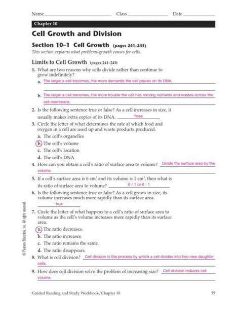 Chapter 10 Cell Growth And Division Workbook Answers Doc