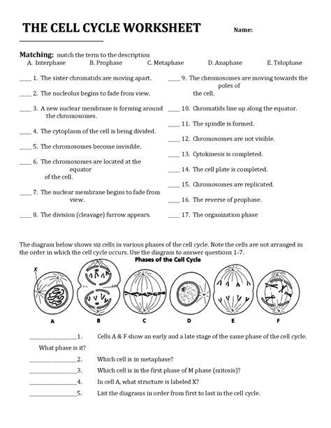 Chapter 10 Energy In A Cell Worksheet Answers Doc