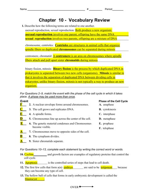 Chapter 10 Vocabulary Review Answers Reader