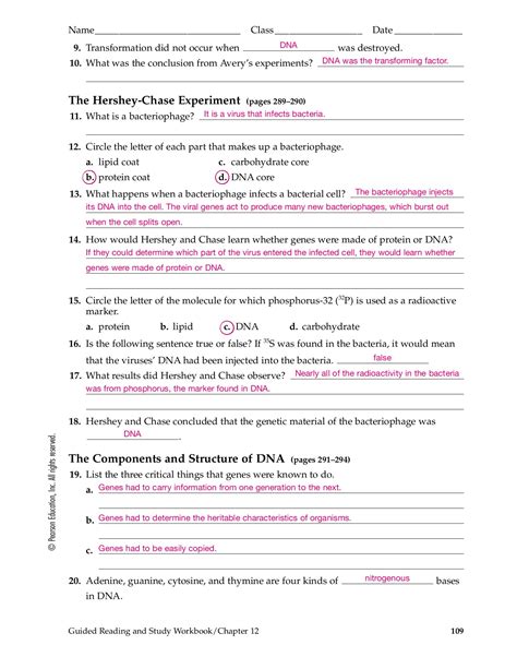 Chapter 11 Guided Worksheet Answers Reader