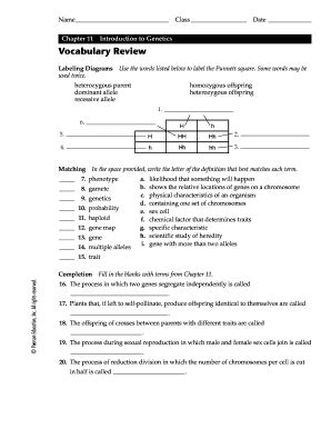 Chapter 11 Introduction To Genetics Section 2 Answer Key PDF