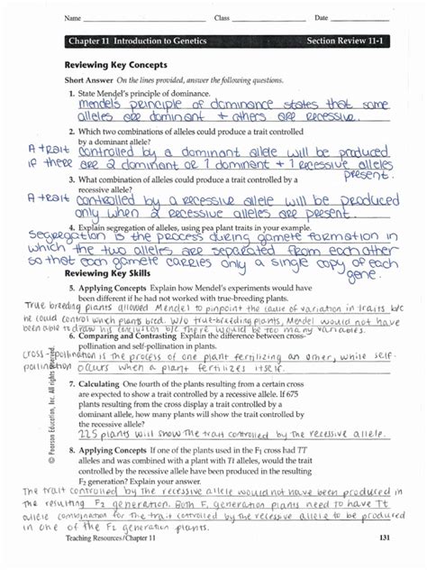 Chapter 11 Introduction To Genetics Section Review 5 Answers PDF