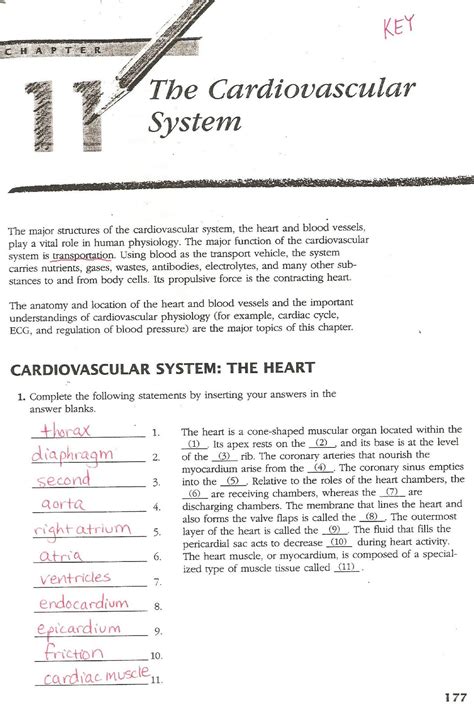 Chapter 11 The Cardiovascular System Packet Answer Key Epub