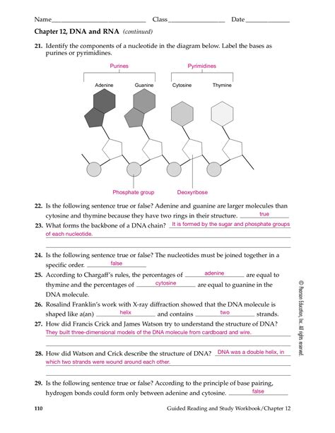 Chapter 12 Dna Rna Section Review 3 Answer Key Doc